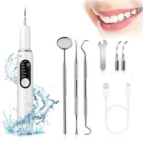Wholesale hot-selling ultrasonic dental cleaner for removing plaque and tartar, water flosser, removes tea and smoke stains